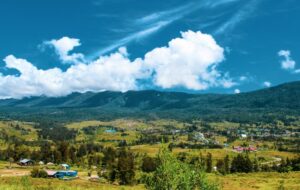 Papua, Irian, dan Segenap Atribut Primitif yang Disematkan