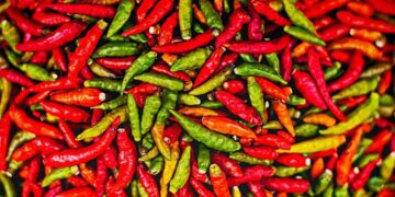 Rahasia Penglaris Waroeng Spesial Sambal SS (Pixabay)