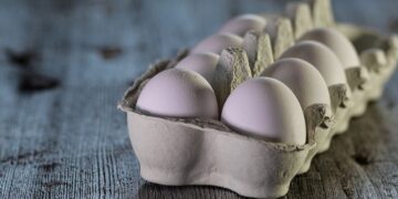 8 Olahan Telur Ceplok yang Enak dan Mudah Dibuat