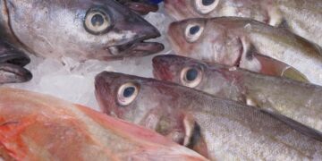 Rakyat Diminta Makan Ikan, tapi Harga Ikan di Pasaran Mahal. Halo Pemerintah, Sehat?