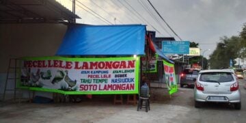 Lele Terbang Krispi Varian Menu Terbaik dari Warung Pecel Lele Terminal Mojok