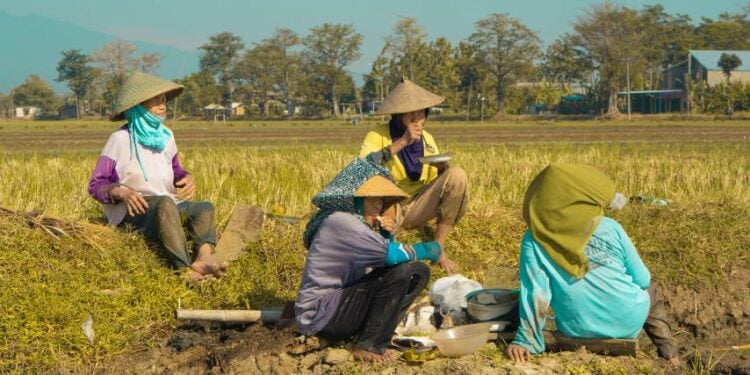 Melihat Lebih Dekat Bagaimana Buruh Tani di Situbondo Bertahan Hidup Terminal Mojok