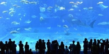 Aquarium Indonesia Pangandaran, Wisata Akuarium Raksasa yang Overrated