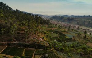 Jangan ke Lembang kalau Pengin Menikmati Wisata Alam