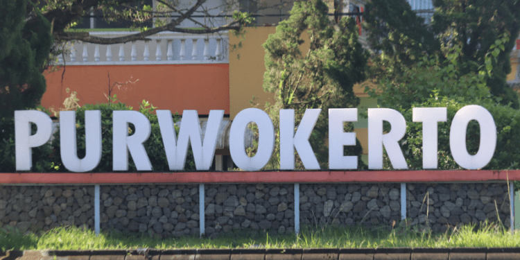 Meluruskan Keresahan Purwokerto Perihal Mendoan (Unsplash)