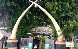 Panduan Praktis Liburan ke Museum Manusia Purba Sangiran