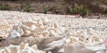 Getuk Goreng Haji Tohirin, Makanan Khas Sokaraja yang Melegenda