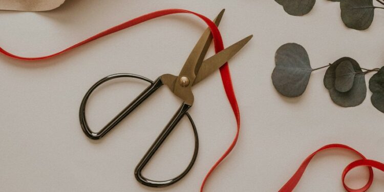 Tips Merawat Rambut Kemaluan Menggunting Sudah Paling Benar Terminal Mojok