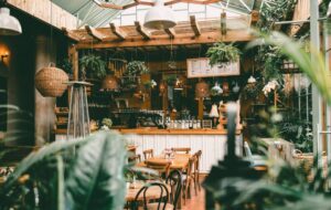 3 Rekomendasi Coffee Shop Bernuansa Hijau di Jogja
