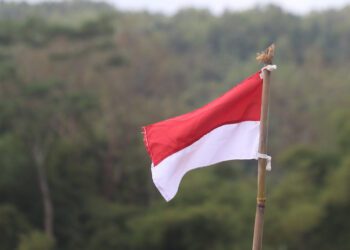 Apa Masalahnya kalau Kita Bangga Ada Orang Indonesia di The Last of Us?