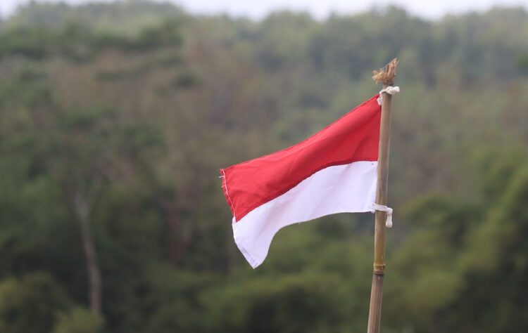 Apa Masalahnya kalau Kita Bangga Ada Orang Indonesia di The Last of Us?