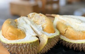 Candimulyo, Surga Durian dari Magelang