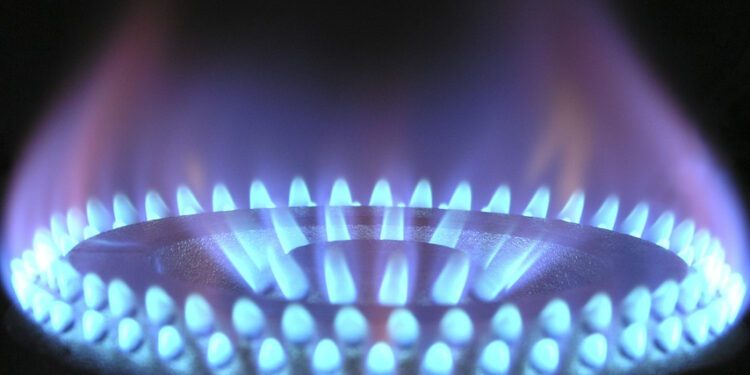 Dilema Agen Elpiji Pertamina: Ambil Untung Besar Kena Masalah, Ambil Untung Kecil Bangkrut elpiji nonsubsidi regulator gas