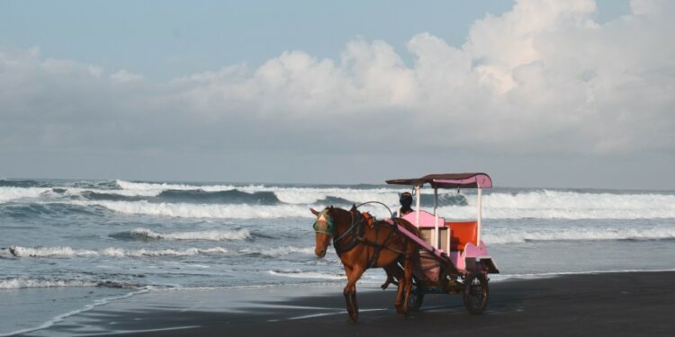 Sandiaga Uno Betul, Jogja Butuh Sushi Salmon Mentai, Bukan Kesejahteraan (Unsplash)