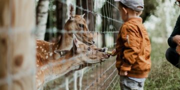 Solo Safari Zoo, Alat Pencitraan Brilian dari Gibran Rakabuming Terminal Mojok