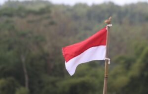 Sudah Saatnya Ma’ruf Amin Meniru Kinerja Gajah Mada