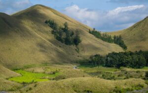 Bondowoso, Sebaik-baiknya Kandidat Ibu Kota Jawa Timur