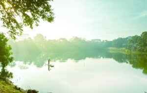 Tangerang Selatan (Tangsel): Kota dengan Pertumbuhan Terdahsyat di Indonesia