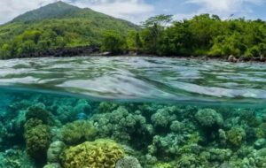 Tetaplah Hidup agar Bisa ke Banda Neira, Cuilan Surga yang Jatuh ke Indonesia