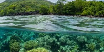 Tetaplah Hidup agar Bisa ke Banda Neira, Cuilan Surga yang Jatuh ke Indonesia