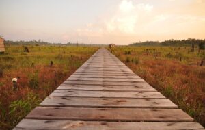 Jawasentrisme: Dunia (Seolah-olah) Berputar Mengelilingi Jawa