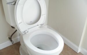 Orang Desa Sepakat Mengatakan Tidak pada Toilet Duduk, Percaya deh!