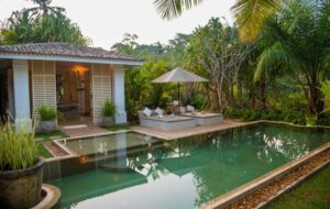 3 Rekomendasi Penginapan di Jogja dengan Sensasi Menginap bak di Tengah Hutan