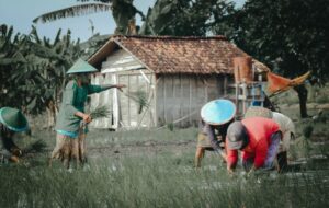 Kabupaten Bojonegoro, Kabupaten yang Sering Dilupakan