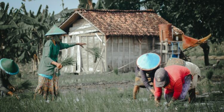 Kabupaten Bojonegoro, Kabupaten di Jawa Timur yang Sering Dilupakan (Unsplash)
