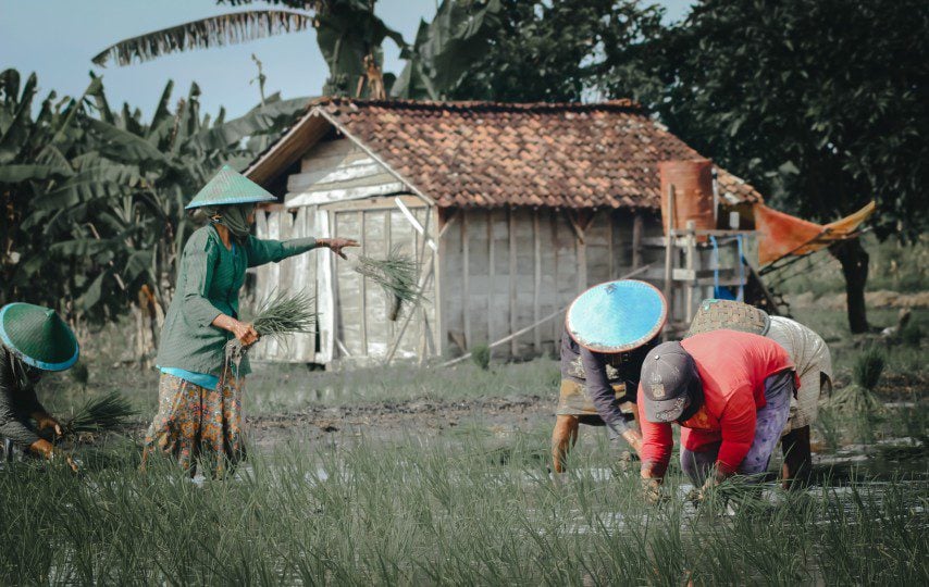 Kabupaten Bojonegoro, Kabupaten di Jawa Timur yang Sering Dilupakan (Unsplash)