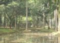 Ada yang Hijau tapi Bukan di Bogor, Ini Taman Langsat di Jaksel