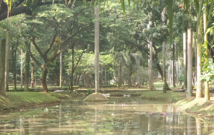 Ada yang Hijau tapi Bukan di Bogor, Ini Taman Langsat di Jaksel