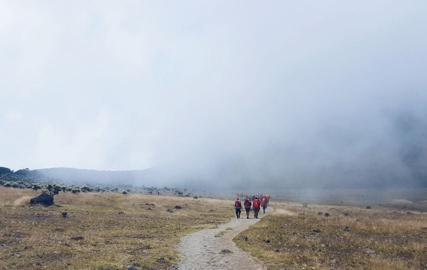 Alasan Kenapa Kamu Harus Mendaki Gunung Gede Pangrango Minimal Sekali Seumur Hidup