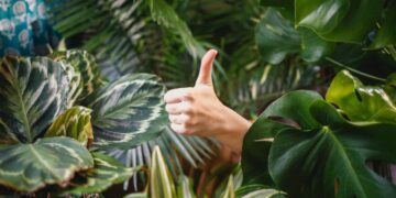 Memahami Apa Itu NT dalam Bahasa Gaul yang Lagi Banyak Diomongin Belakangan Ini