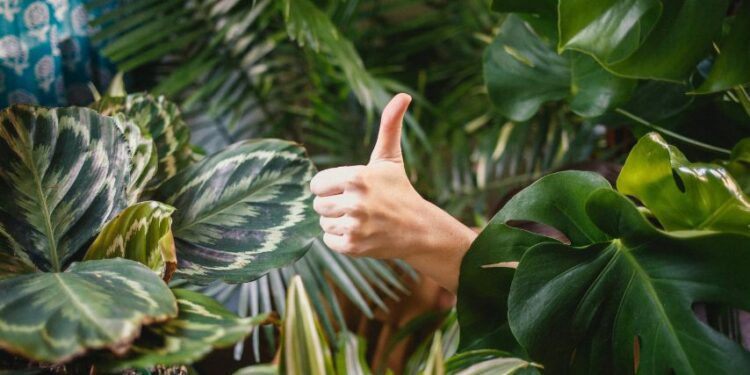 Memahami Apa Itu NT dalam Bahasa Gaul yang Lagi Banyak Diomongin Belakangan Ini