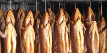 5 Oleh-oleh Khas Trenggalek yang Wajib Dicoba