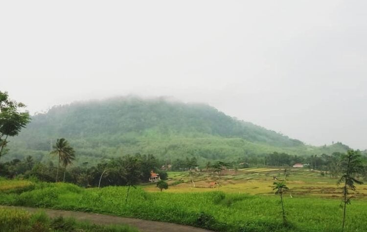 Misteri Desa Cawitali Bumijawa Tegal, Tempat Persinggahan Syekh Siti Jenar