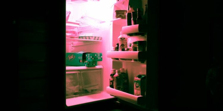 Problematika Kulkas Bersama Kos Mahasiswa: Nggak Mencerminkan “Mahasiswa”