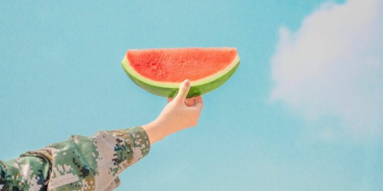 Mulai dari Semangka Goreng sampai Fotokopi Keliling, Sinetron Indosiar Memang Sumbernya Ide Usaha Kreatif dan Inovatif