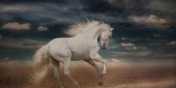 Pudak Cap Kuda, Toko Oleh-oleh Legendaris dari Gresik yang Nggak Butuh Branding