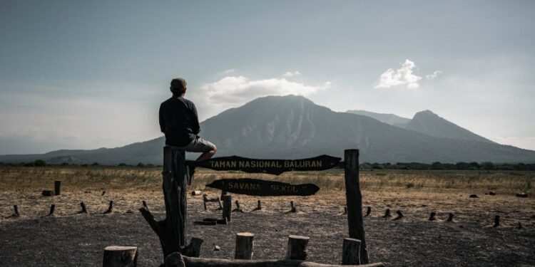 Surga Tersembunyi di Taman Nasional Baluran Situbondo (Unsplash)
