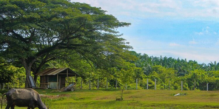 Kampung Durian Runtuh Upin dan Ipin Pernah Dikunjungi 4 Orang Terkenal Ini, lho!