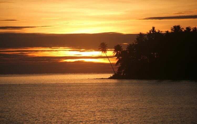 Nestapa Hidup di Pulau Luang Kabupaten Maluku Barat Daya