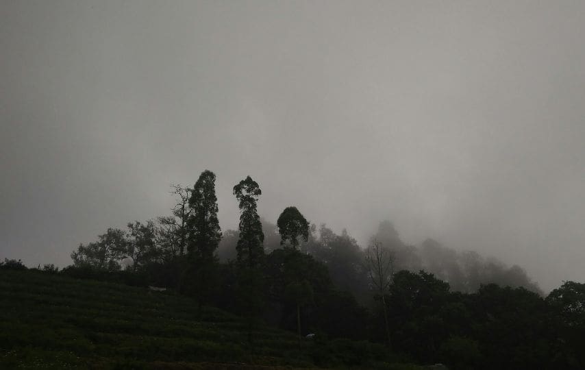 Bukit Jengkoang di Kota Batu Memang Indah, tapi Nggak Spesial-spesial Amat