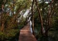 Nestapa Wisata Mangrove di Desa Bedono Kecamatan Sayung Demak, Kurang Promosi hingga Sepi Pengunjung