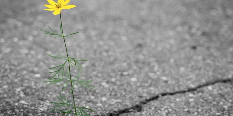 Akses Jalan Pantai di Malang yang Jelek Banget: Berangkat Niatnya Healing, Pulang-pulang Jadi Sinting