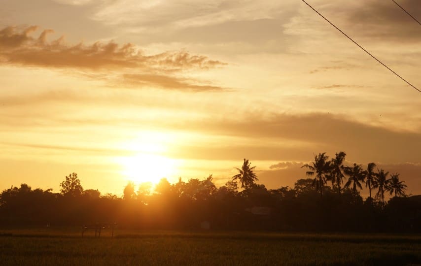 Wisata Jember Nestapa di Puncak Rembangan Arjasa (Unsplash)