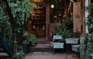 Menguak Misteri Pohon Ketapang di Beberapa Cafe Terdekat dari Tempat Tinggal Saya di Jogja