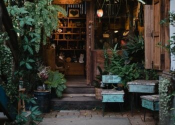 Cafe Terdekat di Jogja yang Menyimpan Misteri Pohon Ketapang (Unsplash)