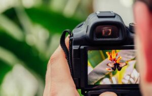 7 Tips Mendapatkan Gaji Tambahan Tiap Bulan dari Shutterstock